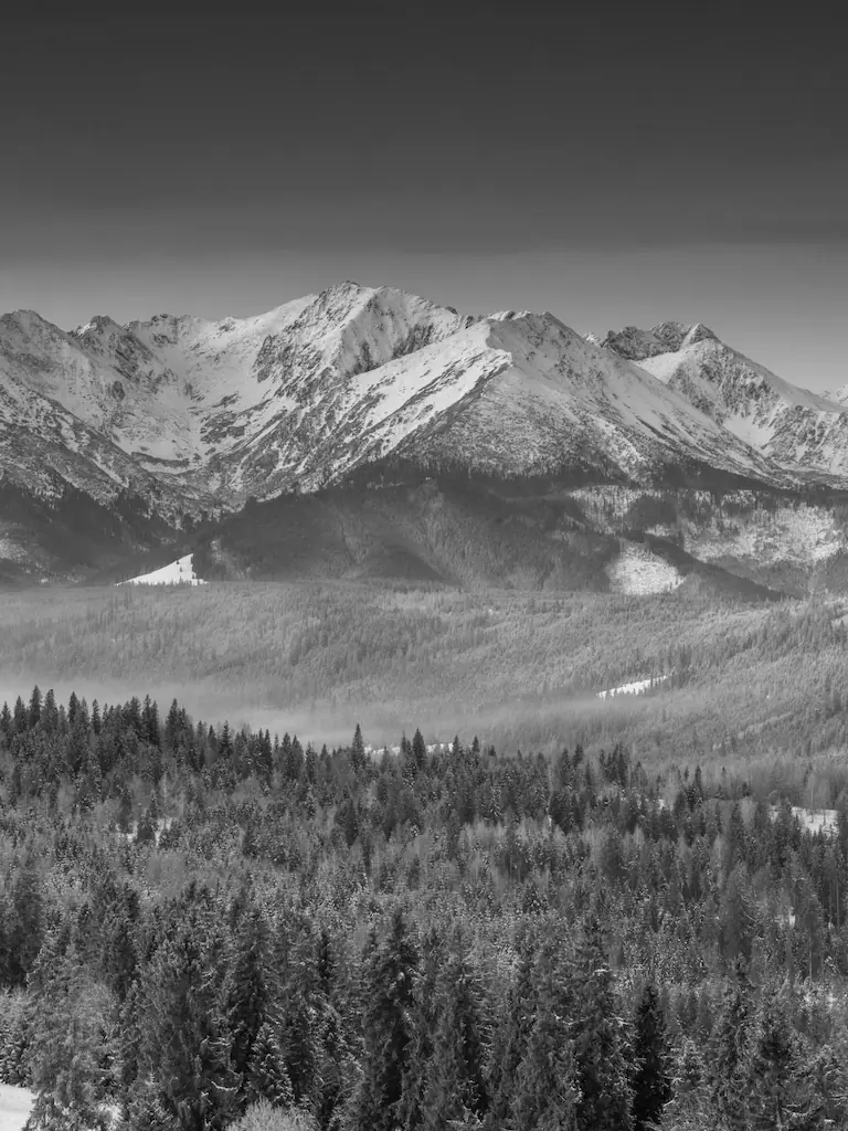 Assets Card Frame Img