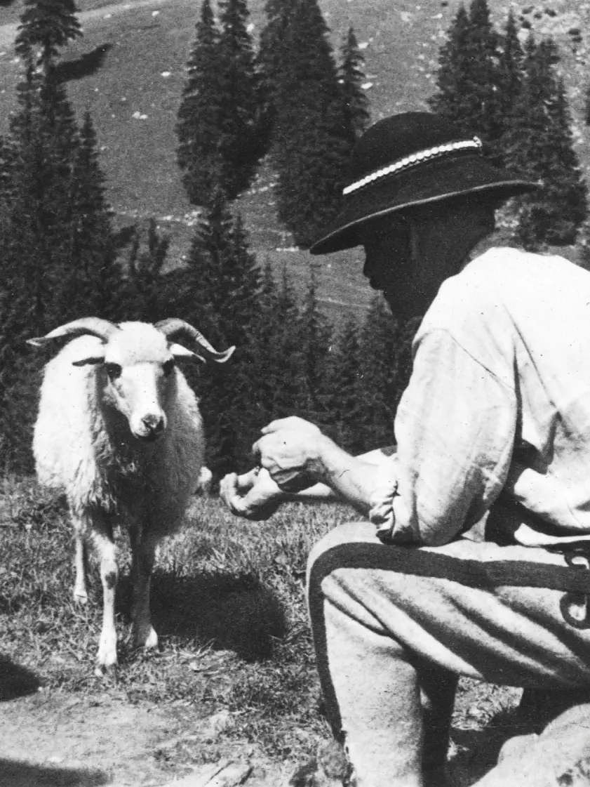 Assets Card Frame Img